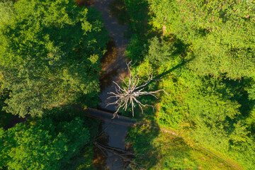 Nizinna mała rzeka. Jest słoneczny dzień. Brzegi porośnięte trawą. Nad rzeką przerzucona jest kładka dla pieszych. Jest słoneczny dzień. Zdjęcie z drona.