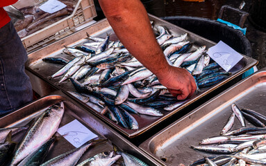 Obraz na płótnie Canvas fish market in city , lifestyle of a marine port worker closeup