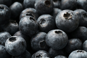 Closeup shot of fresh organic blueberries