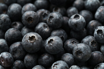 Closeup shot of fresh organic blueberries