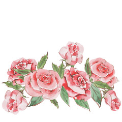 Floral arrangement of pink roses with buds, green leaves. Lovely bridal bouquet. Hand drawn watercolor illustration isolated on white background for wedding invitations, packaging, label, card.