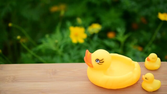 rubber duck on wooden table, blurred background Black Dark Nature Family Concept