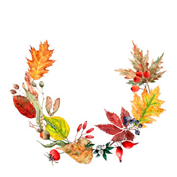 Autumn wreath of yellow, orange, red leaves of maple, linden, rose hips, berries. Round colorful frame. Watercolor hand drawn illustration isolated on white background for cards, wedding invitations.