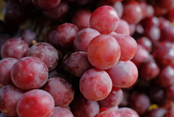 Grapes - Grapes in baskets in bulk. Close-up detail of grapes
