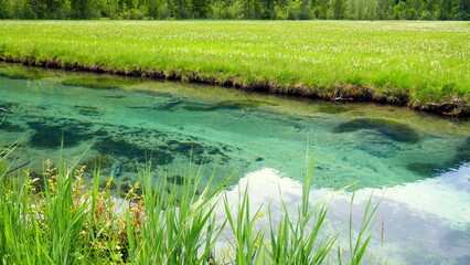 glasklare Ammer fließt nach der Quelle durch das Ammergau in Bayern entlang einer Feuchtwiese