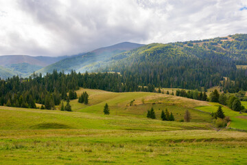 mountainous rural scenery in september. trees and grassy meadows on the hills at the foot of a ridge. warm sunny weather