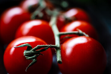 Strauchtomaten