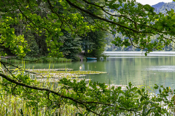 See (Hechtsee, Germany) mit Seerosen in Berglandschaft
