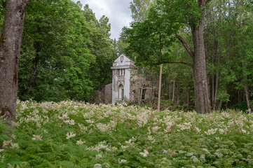 Obraz premium ruins of manor in saaremaa, estonia