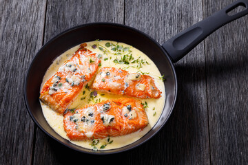 salmon fillet with creamy blue mold cheese sauce - obrazy, fototapety, plakaty