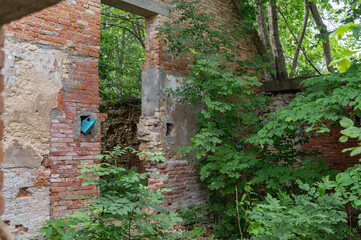 ruins of manor in saaremaa, estonia