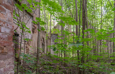 ruins of manor in saaremaa, estonia