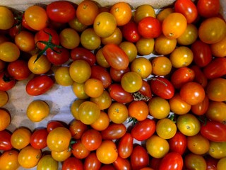 Different colored Cherry snack tomato mix in a supermarket shelf. There are no people or trademarks in the shot.