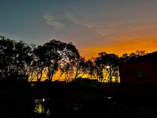 sunset in the forest