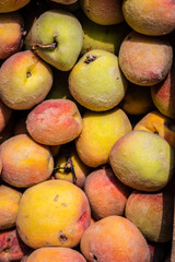 fresh organic peach from farm close up from different angle