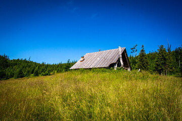 domek wśród traw © Piotr Gancarczyk