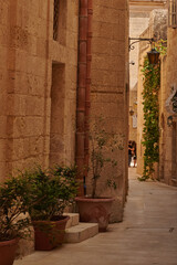 Fototapeta na wymiar Tourists in the historical city of Mdina, Malta