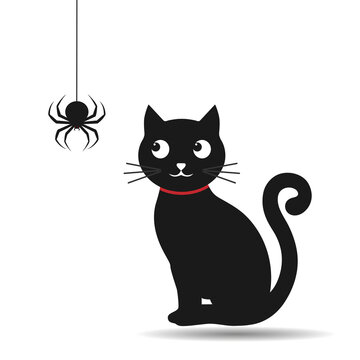 Illustration of a black cute kitten looks at a hanging spider with a shadow on a white background