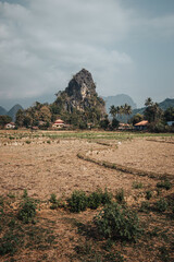 Vang Vieng, Laos - January 27th, 2020 : view on the yellow rice fields and limestone mountains in the background. Northern Laos during dry season.
