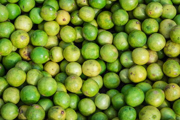 fresh organic lemons from farm close up from different angle