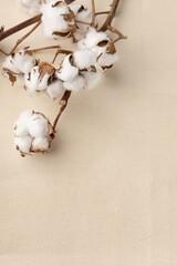 Several branches of cotton on a fabric background