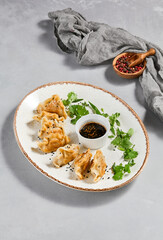 Oriental food - fried gyoza with sauce. Gyoza with pork in ceramic plate on gray concrete background.  Shrimp gyoza in minimal style. Aesthetic food menu.