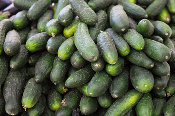 cucumbers on market counter in wicker basket
