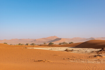Fototapeta na wymiar Sand dune in Sossuvlei, Namib desert, Namib-Naukluft National PArk, Namibia