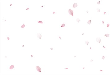 Cherry petals backdrop. Sakura petals background.