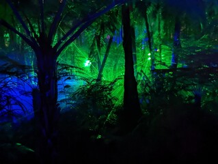 Lasers through the trees at night