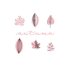 Fall leaf icon vector illustration set. Hand drawn 6 colorful design. Isolated graphic symbols. Autumn sign. Boho scandi colors. Nature abstract concept. Line art. Grey background. Pink