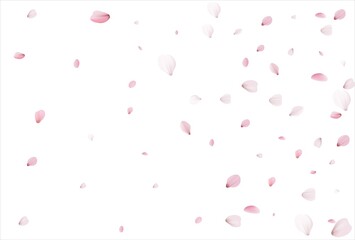 Cherry petals backdrop. Sakura petals background.