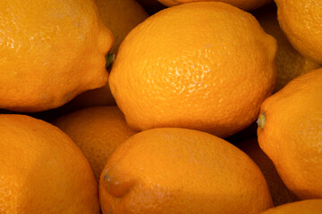 Ripe yellow lemons close-up. Background or texture. Lemon harvest, many yellow lemons.