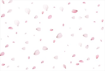 Cherry petals backdrop. Sakura petals background.