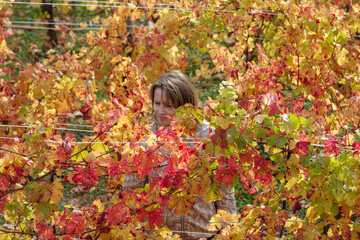 Woman in autumn vineyard
