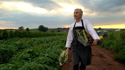 Wide angle view of stylish, smiling, female chef carrying a crate of vegetables on her hip and...