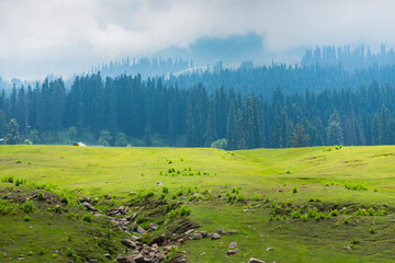 Gulmarg, Baisaran Valley( Mini Switzerland) Pahalgam, Jammu and Kashmir, India.