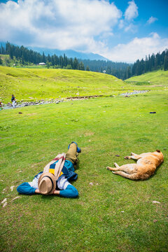 Man in Hat with a dog in the mountains valley. Men and dog Sleeping in Gulmarg, Jammu and Kashmir, India.