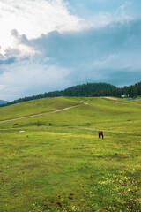Greenery surrounded by mountains in Gulmarg, Jammu & Kashmir, India.