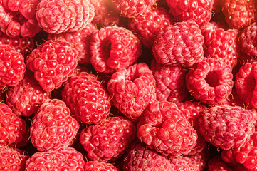 Many berries of fresh raspberry. Fresh raspberries close up.