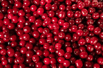 Fresh cherry close-up. Cherry Background. Sweet organic cherries. Red cherries background.