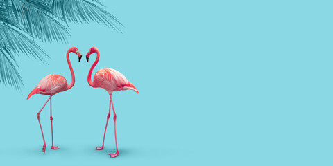 Pink flamingo couple under palm tree on turquoise blue summer background.