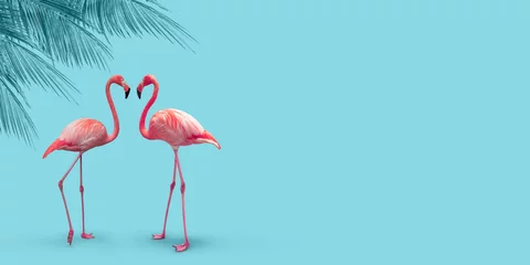 Wandcirkels plexiglas Pink flamingo couple under palm tree on turquoise blue summer background. © Nancy Pauwels