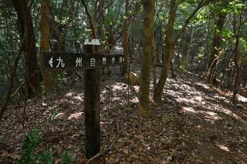 九千部山登山「九州自然歩道」
