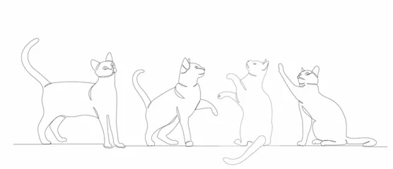Foto op Plexiglas één doorlopende lijntekening van een kat vector © zolotons