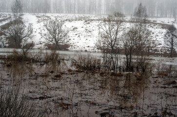 high river bank in early spring