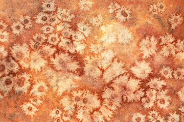 Watercolor autumn texture background. Orange and yellow abstract landscape gradient. Peach batik graphic. Fall color painting. Design illustration brush stroke. Aquarelle art backdrop