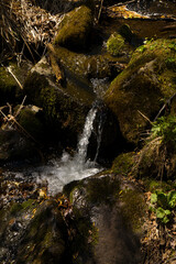  waterfall in autumn forest