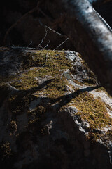 huge boulders in the forest