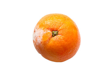 A spoiled orange on a white background. Fruit isolate. Lack of food and fruits. Lack of food for the people. Hunger all over the world.